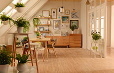 專(zhuān)業(yè)藝術(shù)背景、天花和您一起打造